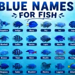 blue names for fish