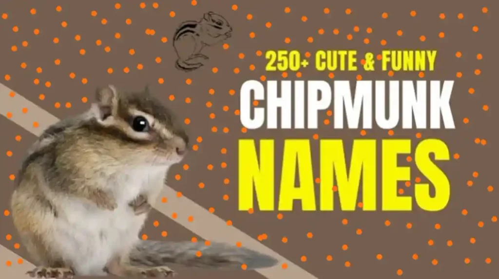 names for chipmunks