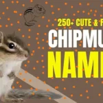 names for chipmunks