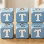 t names for boy
